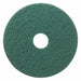 Scrubbing Pad 13 in Dia Green PK5