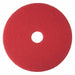 Buffing Pad 12 in Dia Red PK5