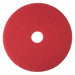 Buffing Pad 19 in Dia Red PK5