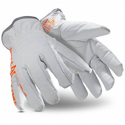 Safety Gloves PR