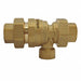 Dual Check Valve w/ Port Brass 1/2 FNPT