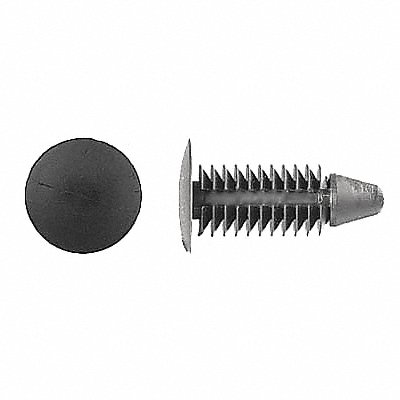 Push-In Rivet Black Dome 5/8 L PK50