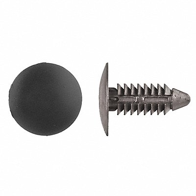 Push-In Rivet Black Dome 13/16 L PK100