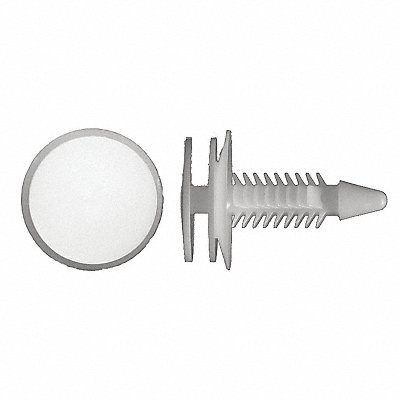 Nylon Retainers White Dome 24mm L PK50