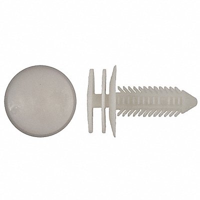 Nylon Retainers White Dome 24mm L PK25