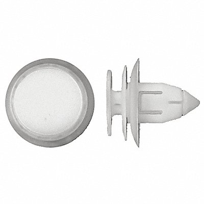 Nylon Retainers White Dome 14mm L PK25