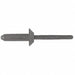 Blind Rivet 13/64 in dia PK25