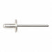 Blind Rivet 3/16 in dia PK10