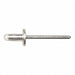 Blind Rivet 15/64 in dia PK15