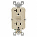 GFI Receptacle