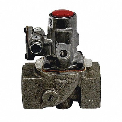 Safety Pilot Valve 1 in