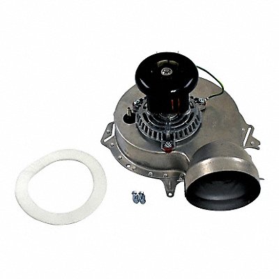 Diaphragm