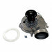 Diaphragm