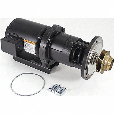 Pump and Motor 1/3 HP