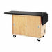 Laboratory Tables Workbenches and Surfaces