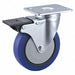 Standard Plate Caster Swivel 305 lb.