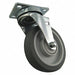 Standard Plate Caster Swivel 280 lb.