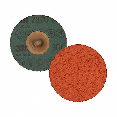 Quick-Change Sanding Disc 4 in Dia TR