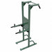 Pull Up/Dip Station Strength Zinc Powder