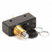 Primary Interlock Switch