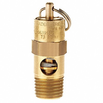 Pressure Relief Valve 100 PSI