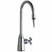 Gooseneck Chrome Chicago Faucets 1.0gpm