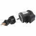 Rotary Pump 7.9Lift 125psi 1-1/2HP