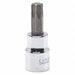 Drive TORX Bit Socket 3/8in T-47