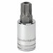 Drive Torx Tamper-Proof Bit Socket T-25