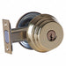 Deadbolt Cylindrical Bright Brass Finish