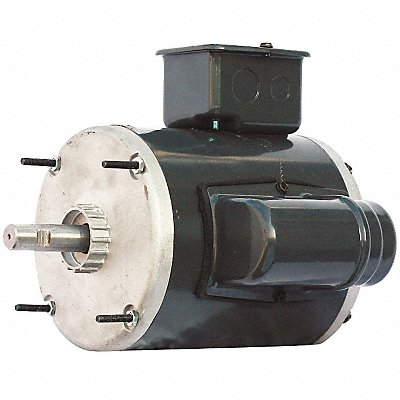 Motor 1/3 HP 1725 Non-Standard 115V