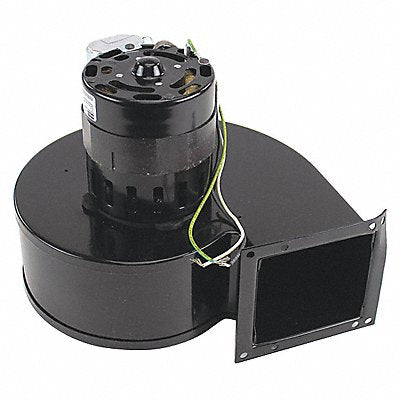 Blower Assembly 115V