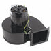Blower Assembly 115V