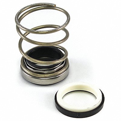 Seal Kit 1-1/4in ID All Iron