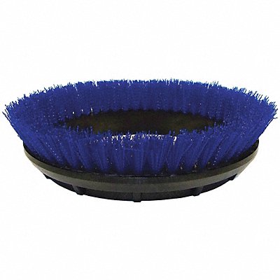 Scrubbing Rotary Brush Blue 12 in.