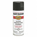 Spray Paint Charcoal Gray 12 oz.