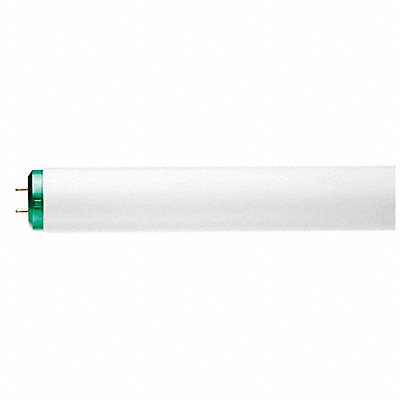 Fluorescent 20 W T12 Medium Bi-Pin (G13)