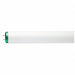 Fluorescent 20 W T12 Medium Bi-Pin (G13)