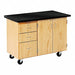 Laboratory Tables Workbenches and Surfaces