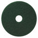 Green Scrub Pad 20in.  PK5