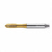 Spiral Point Tap M6x1 HSS