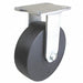 Kingpinless Plate Caster Rigid 4100 lb.