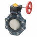 Valve Lug PVC 8 Pipe Sz Gear Handle