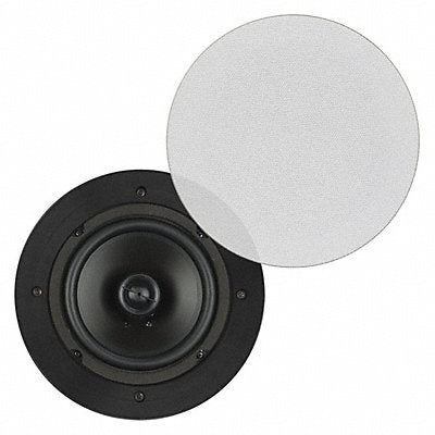 Speaker White 100 Max Wattage