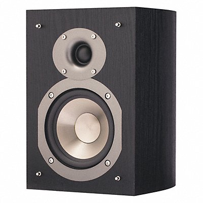 Speaker Black 100 Max Wattage