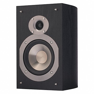 Speaker Black 125 Max Wattage