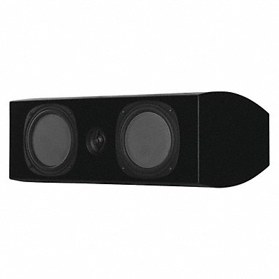 Speaker Black 200 Max Wattage