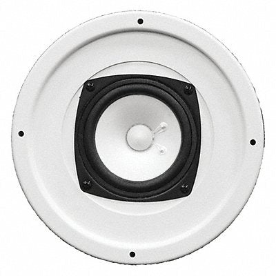 Speaker White 20 Max Wattage