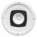 Speaker White 20 Max Wattage