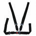 Strap Black 6 ft L